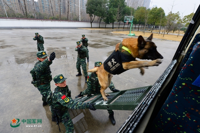 杭州极地海洋世界门票价格,认识解答解释落实